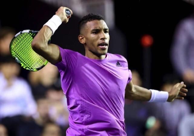 完善的滑雪 完善的滑雪