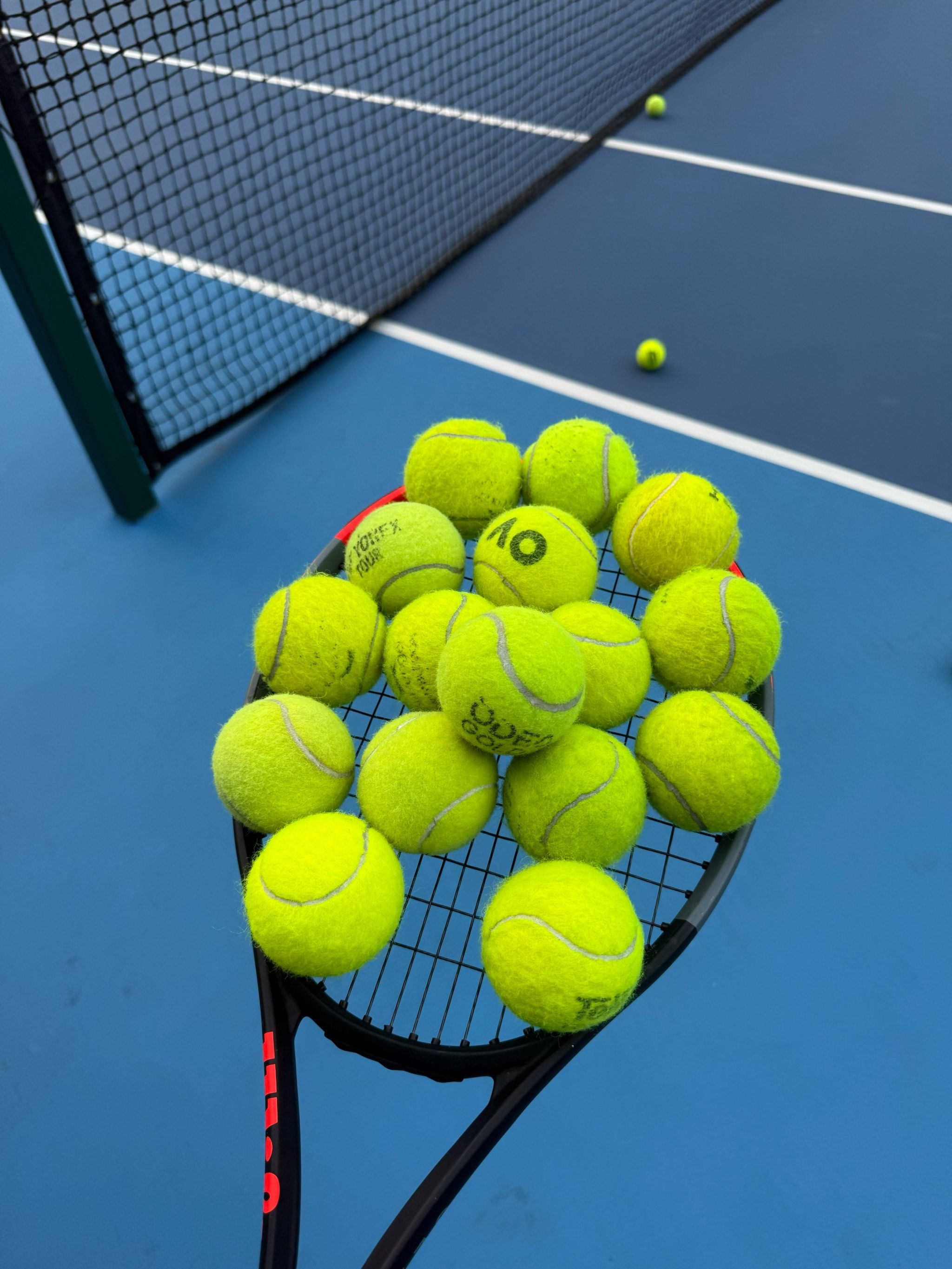 职业生涯的 职业生涯的