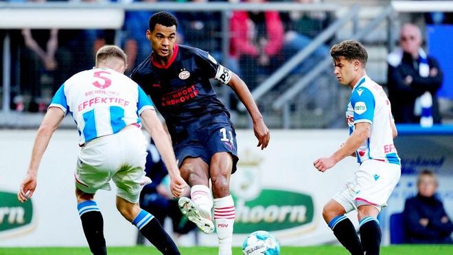 在这篇文章 在这篇文章